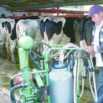 Productores lecheros de Delicias y Meoqui exigen pago justo y protección ante competencia extranjera