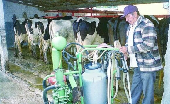 Productores lecheros de Delicias y Meoqui exigen pago justo y protección ante competencia extranjera