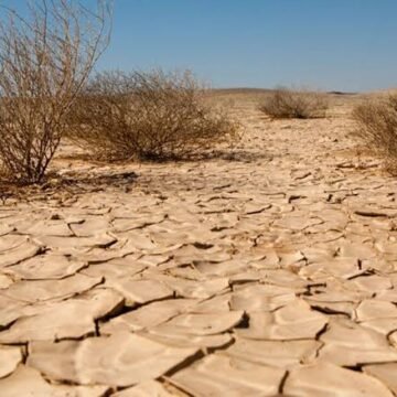 Crisis hídrica en Chihuahua: negligencia, encarecimiento de alimentos y un futuro incierto