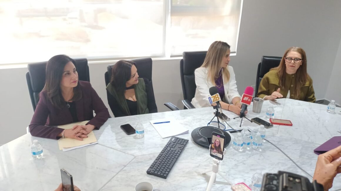 Abogadas ganan juicio en el TEPJF y luchan por su inclusión en el proceso judicial