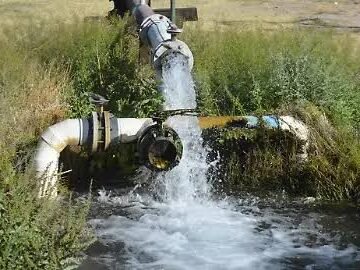 images (7) Denuncian red de corrupción que benefició a menonitas y a la familia LeBarón