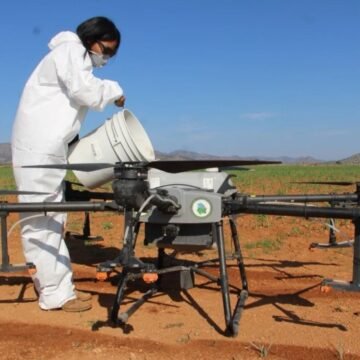 Destina Gobierno más de 155 mdp para proteger sanidad vegetal del campo