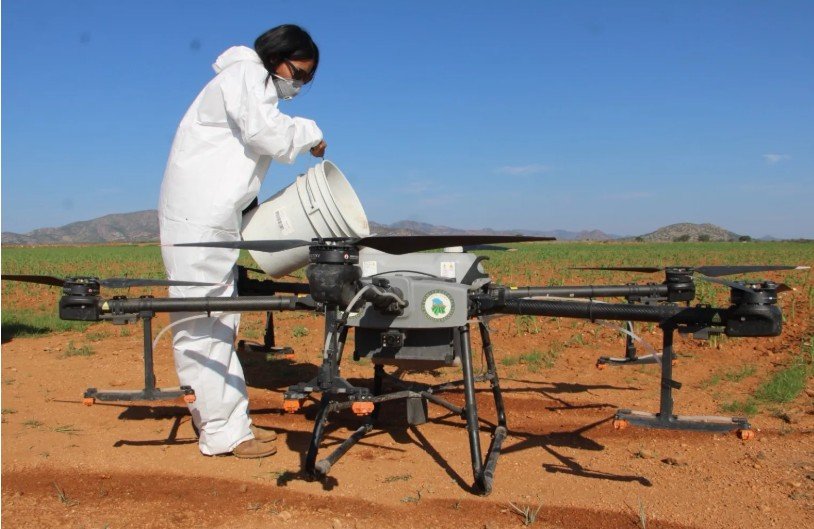 Destina Gobierno más de 155 mdp para proteger sanidad vegetal del campo