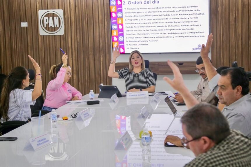 IMG-20250617-WA0002 PAN abre proceso para renovar dirigencias municipales y Consejo Estatal