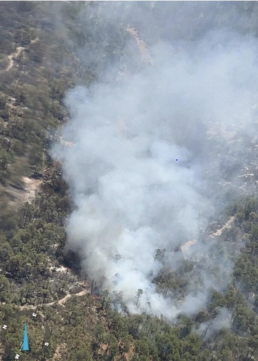 Protección Civil y CONAFOR intensifican combate a incendios forestales en Ocampo