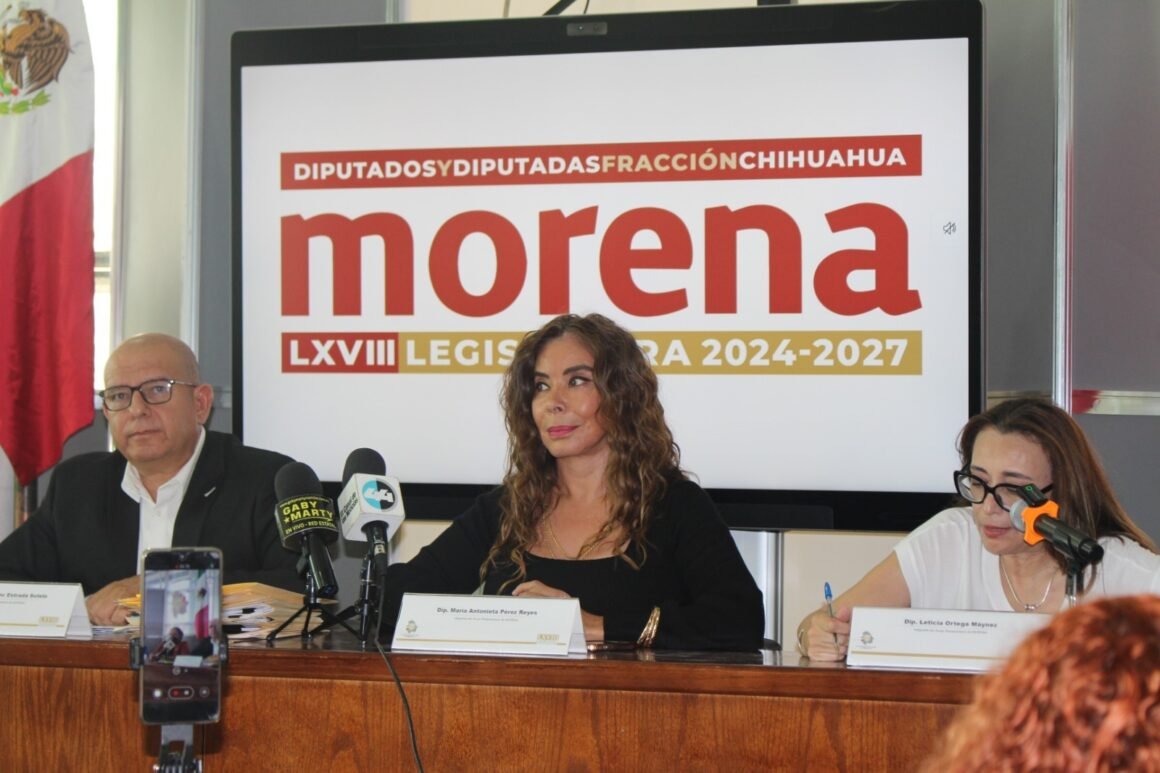 Diputada Pérez Reyes exige renuncia de titular de COESPRIS por caso del crematorio