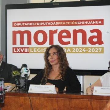 IMG-20250702-WA0028 Diputada Pérez Reyes exige renuncia de titular de COESPRIS por caso del crematorio