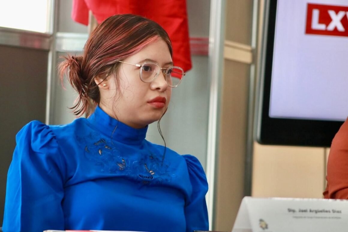 “El maruduartismo sigue vivo”: acusa diputada de Morena que el PAN mantiene cooptado al Poder Judicial