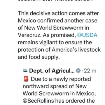 Estados Unidos cierra frontera ganadera con México por brote de gusano barrenador en Veracruz“