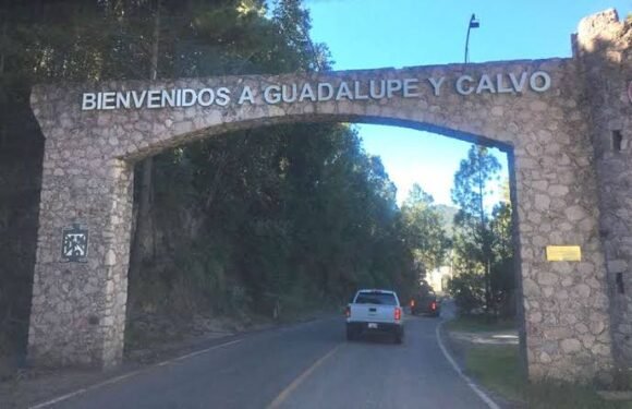 Guadalupe y Calvo: seguridad a gritos, política en exceso y resultados a cuentagotas