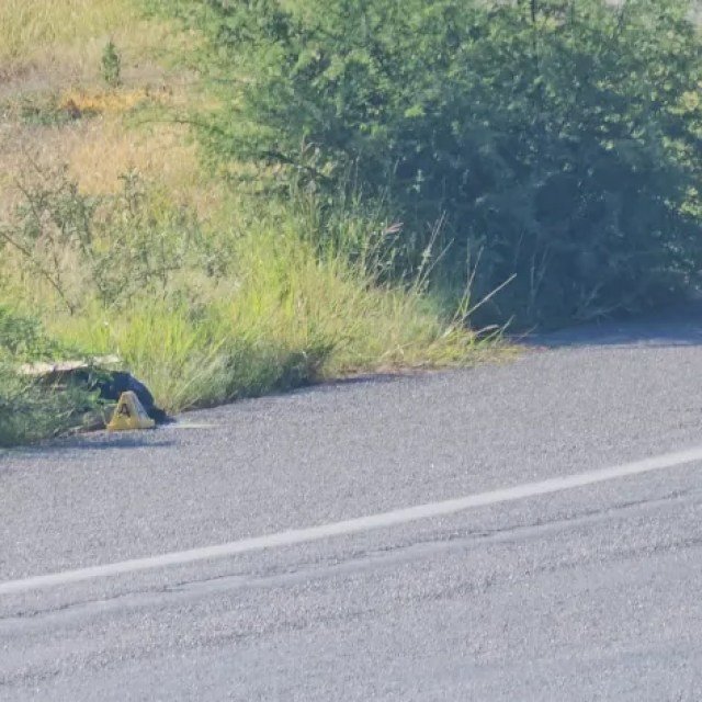 7514ffac-10fd-470f-bc9e-2d8ad24c0e5b-840x840 Violencia sacude de nuevo a Chihuahua: dos hombres ejecutados en el Libramiento Oriente