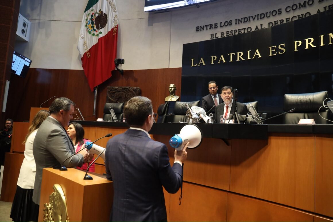 Andrea Chávez acusa al PAN de convertir al Senado en un “circo”