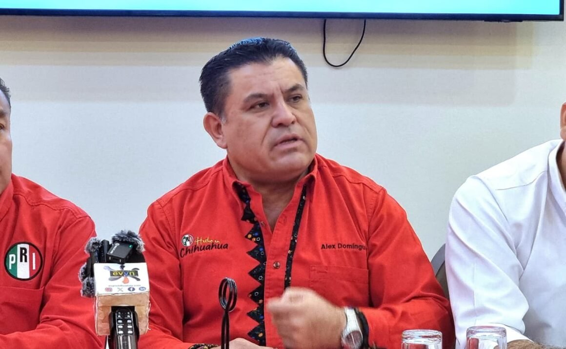 “La violencia no puede ser nuestro sello” advierte Alex Domínguez