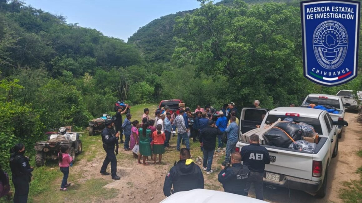 Entre despensas y patrullas: la seguridad humanitaria en Guadalupe y Calvo