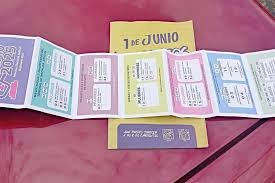 descarga (7) Tribunal Electoral valida la Elección Judicial y rechaza anularla por “acordeones”