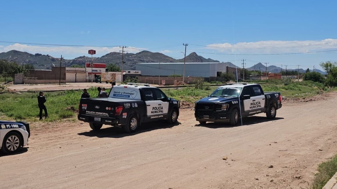 Hallan resto óseo humano en las inmediaciones del Panteón Municipal 3