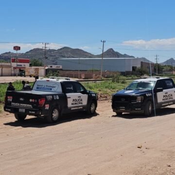 f4575eb7-6654-4177-aee0-849cff582ac7 Hallan resto óseo humano en las inmediaciones del Panteón Municipal 3