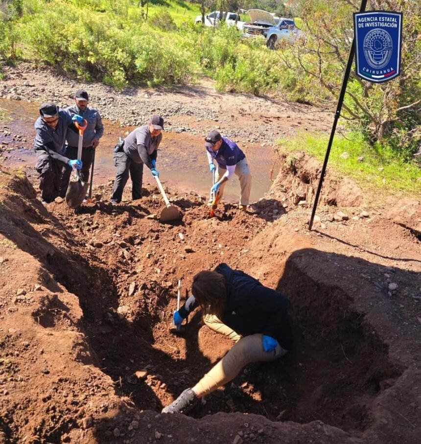 Hallan restos óseos en fosa de Baporeachi; reflejo de la crisis de desapariciones en la sierra