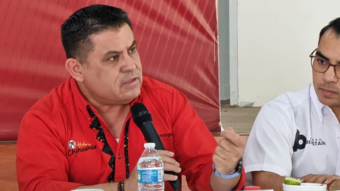 Que los anuncios de la Presidenta de la República no se queden en palabras: PRI