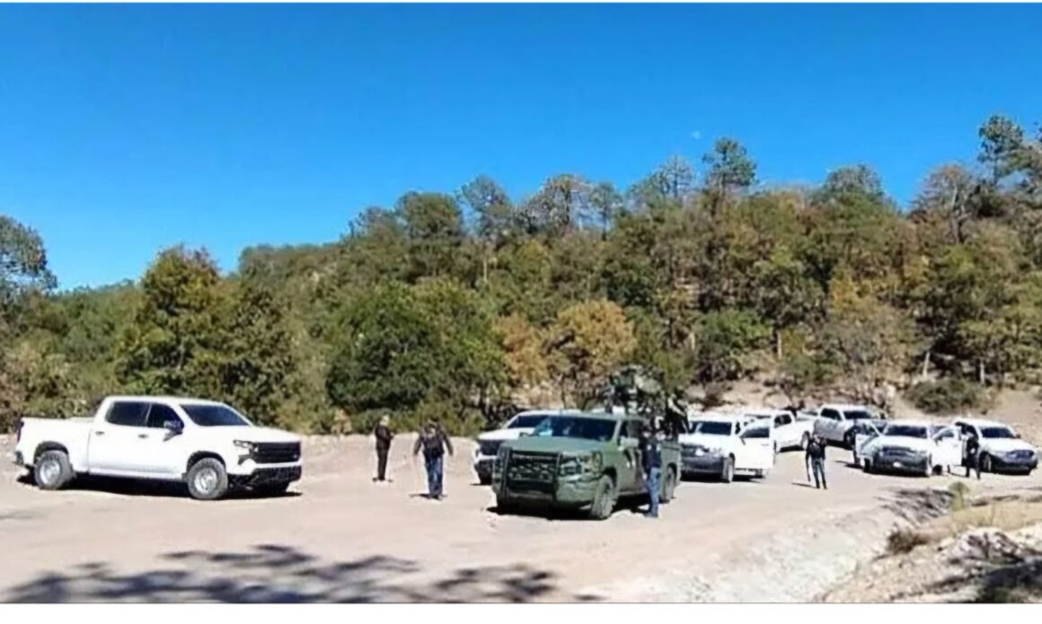 Ejecutados y apilados: descubren cinco cuerpos en carretera de Temósachic