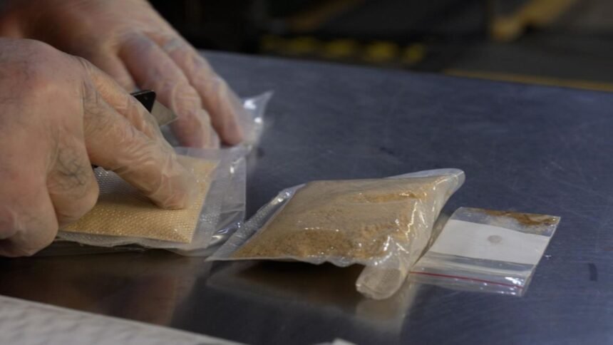 Agentes intoxicados por presunto fentanilo evolucionan favorablemente