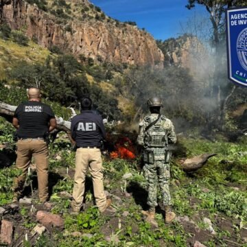 IMG-20251022-WA0003 Destruyen más de una tonelada de mariguana en operativo al norte de la ciudad