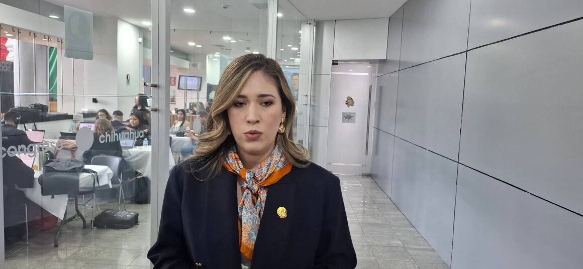 20251106_114146 “En México ya no vivimos, sobrevivimos”: diputada Alma Portillo