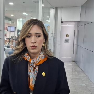 “En México ya no vivimos, sobrevivimos”: diputada Alma Portillo
