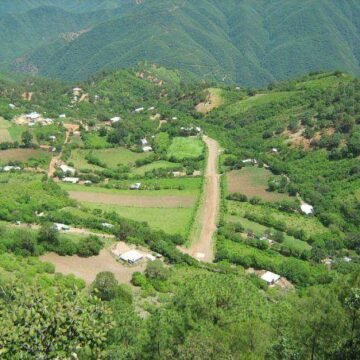 Silencio oficial ante nuevo éxodo: familias huyen de Ciénega de Silva por la violencia en Guadalupe y Calvo