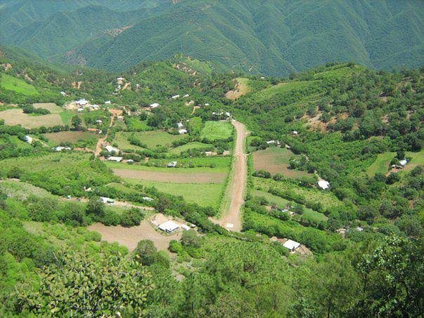 images - 2025-11-03T061926.388 Silencio oficial ante nuevo éxodo: familias huyen de Ciénega de Silva por la violencia en Guadalupe y Calvo