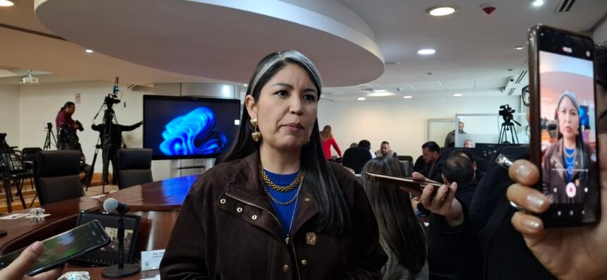 Nancy Frías: el PAN analizará iniciativas antes de fijar postura en temas de diversidad