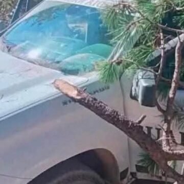 Screenshot Repelen ataque armado contra la Guardia Nacional en Guadalupe y Calvo; aseguran arsena