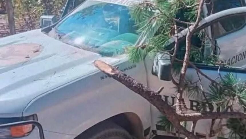 Screenshot Repelen ataque armado contra la Guardia Nacional en Guadalupe y Calvo; aseguran arsena