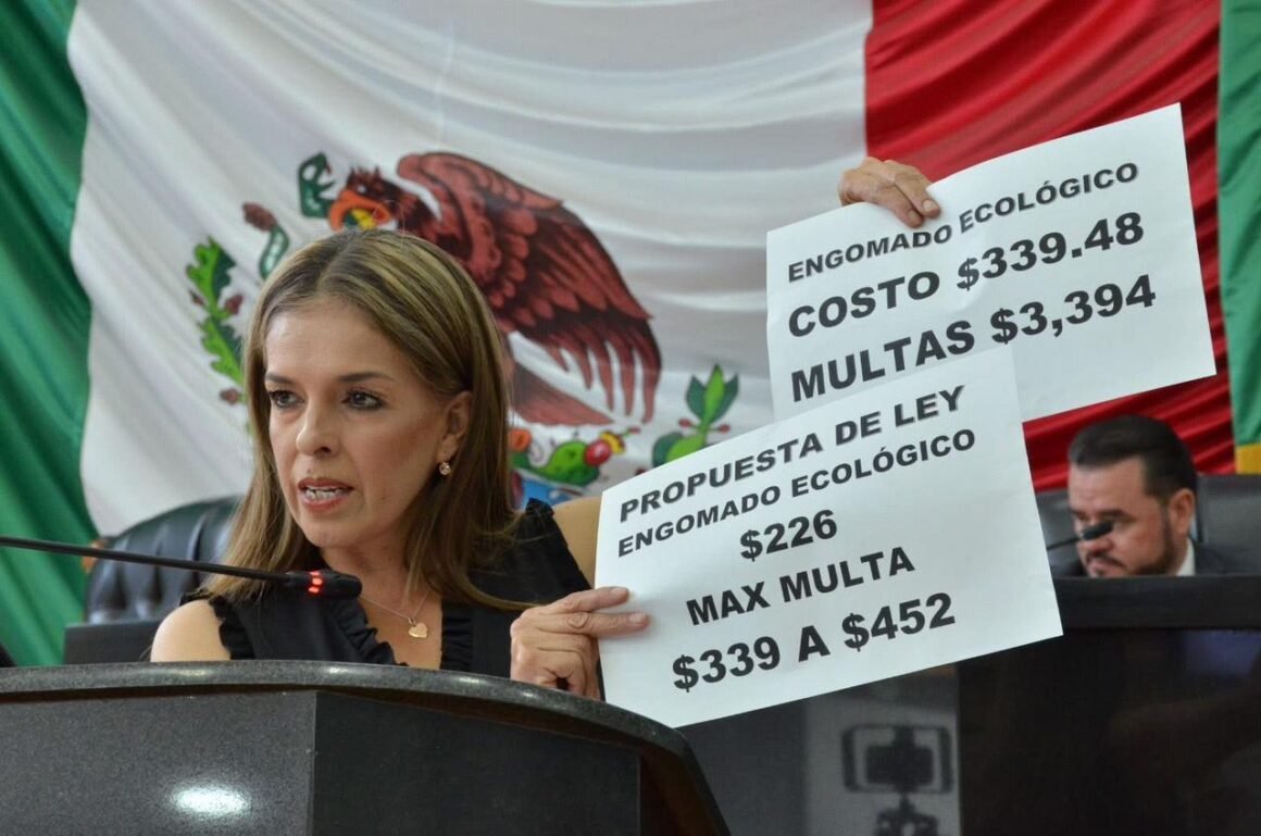 Xóchitl Contreras dice que no busca eliminar el engomado ecológico, sino frenar cobros abusivo