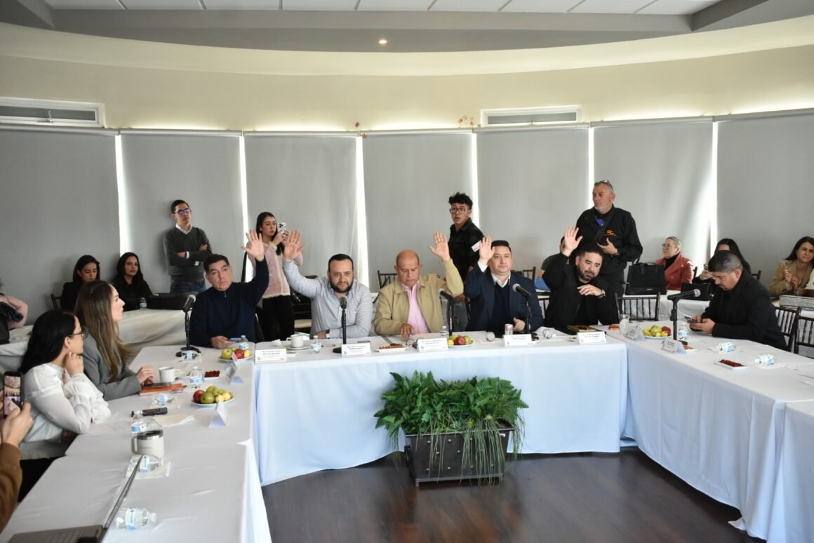 Fryda Licano, Miriam Aguilera y Flor Corral integran terna para la CEDH