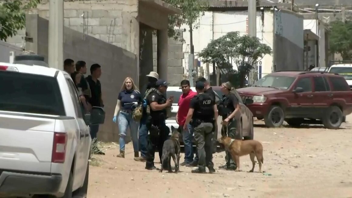 Cateos seguirán bajo control judicial pese a análisis de la Corte: Fiscalía