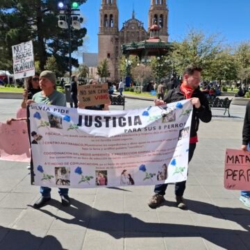 Denuncian desaparición y maltrato de perros; manifestantes exigen respuestas