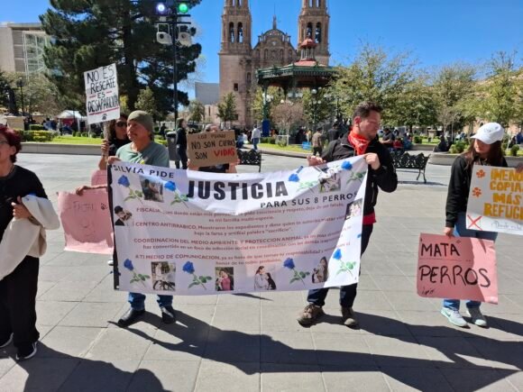 Denuncian desaparición y maltrato de perros; manifestantes exigen respuestas