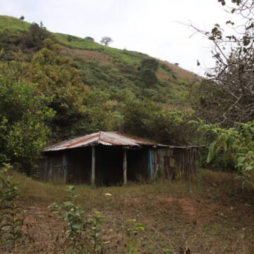 Identifican a tres mineros de Vizsla Silver localizados en fosas clandestinas en Sinaloa