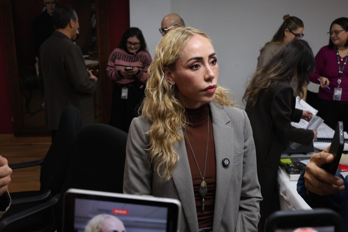 Congela PAN exhorto de Brenda Ríos para bajar precios de la Feria de Santa Rita