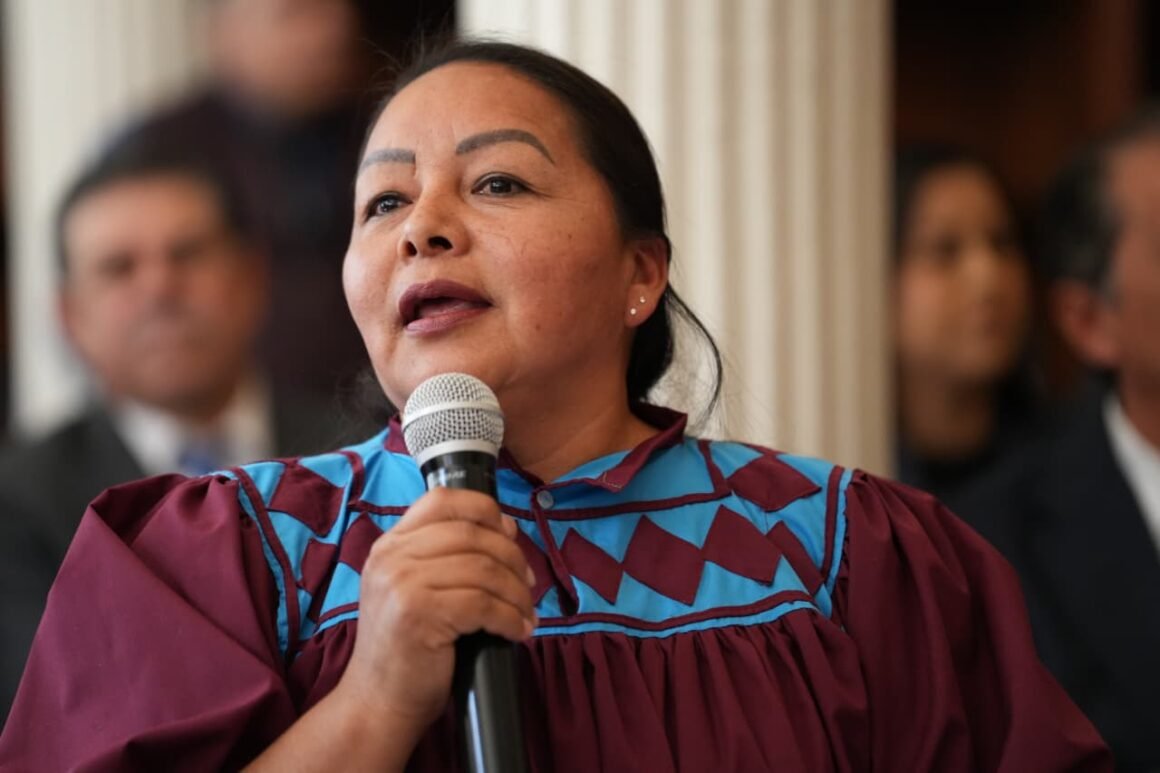 IMG-20260220-WA0014 Edith Palma exige traductoras e intérpretes para pueblos indígenas