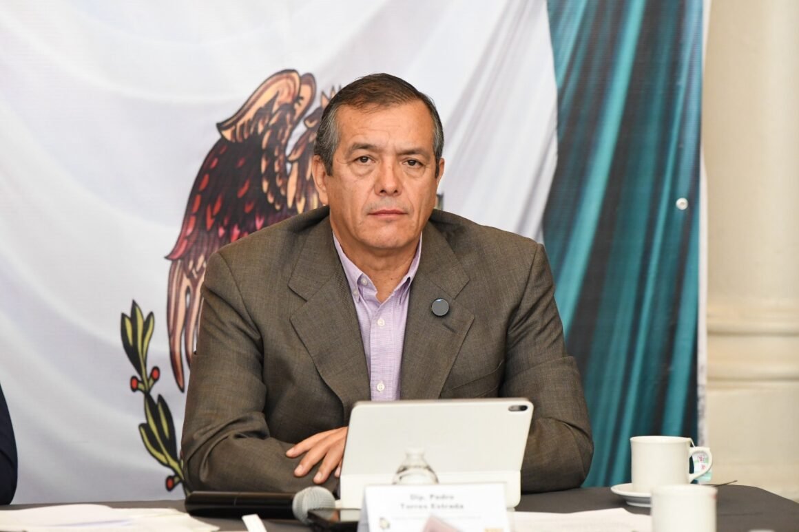 Tras liberación del propietario del crematorio “Plenitud”, Pedro Torres exige transparencia y descarta privilegios en la justicia