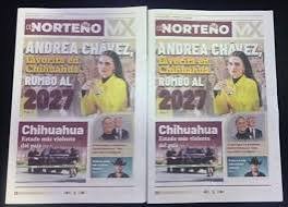 PAN alista denuncias por propaganda ilegal a favor de Andrea Chávez