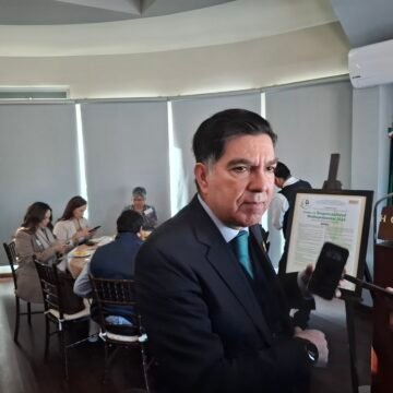 PVEM respeta voto dividido de sus diputados en reforma electoral: Octavio Borunda