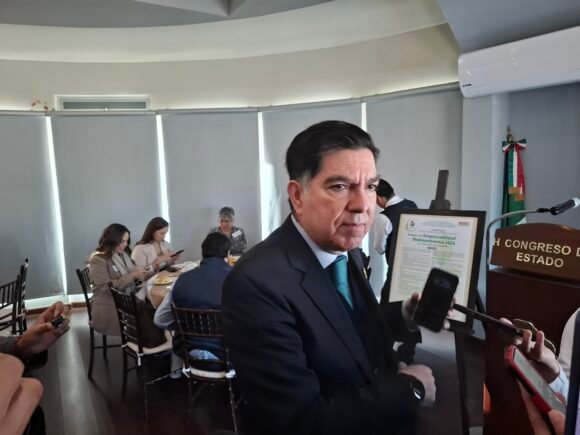 PVEM respeta voto dividido de sus diputados en reforma electoral: Octavio Borunda