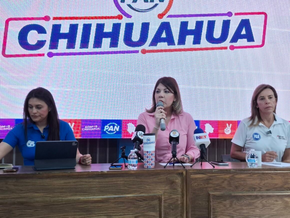 PAN no excluirá a militantes; analiza renuncias de funcionarios antes de septiembre: Daniela Álvarez