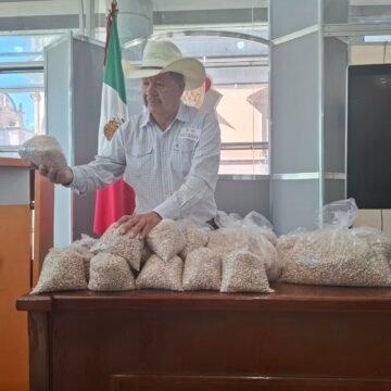 “Es muy difícil repartir una tortilla entre hambrientos”: advierten crisis en producción de frijol