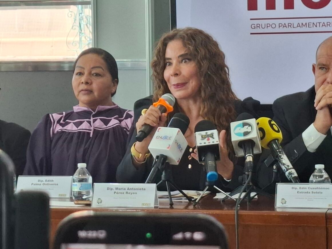 “El dictamen debe ser retirado del pleno”: Morena pide revisar proceso de la CEDH