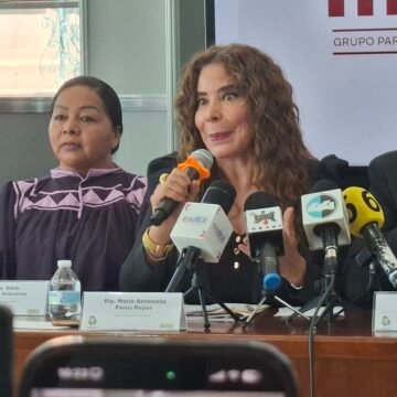 “El dictamen debe ser retirado del pleno”: Morena pide revisar proceso de la CEDH