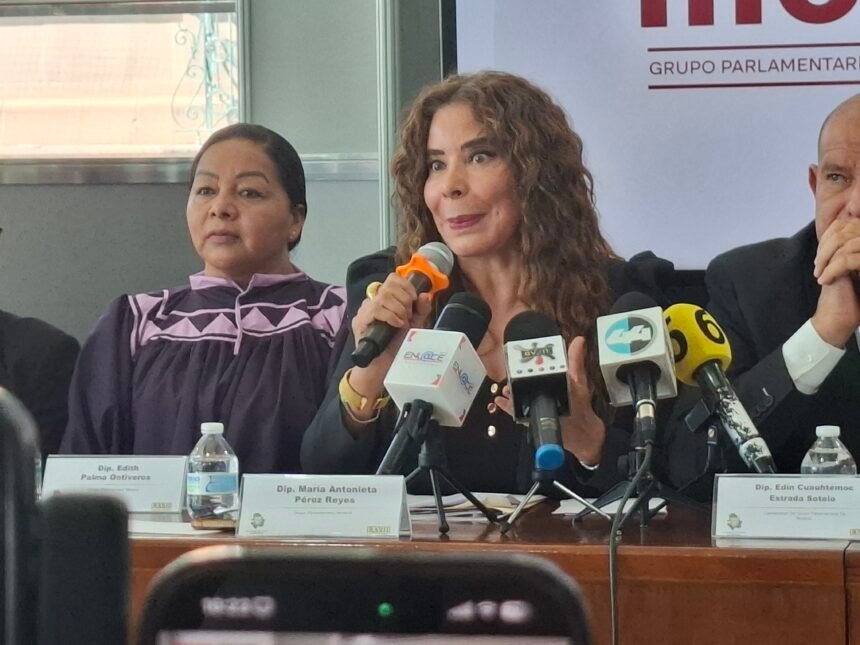 “El dictamen debe ser retirado del pleno”: Morena pide revisar proceso de la CEDH